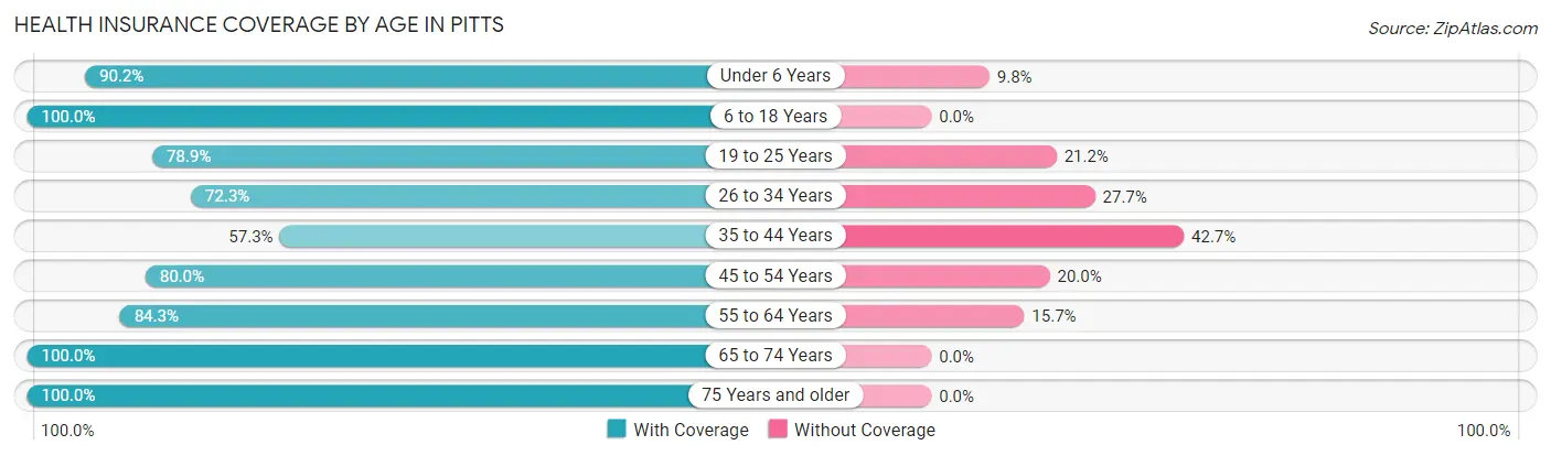 Health Insurance Coverage by Age in Pitts