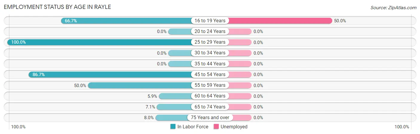 Employment Status by Age in Rayle