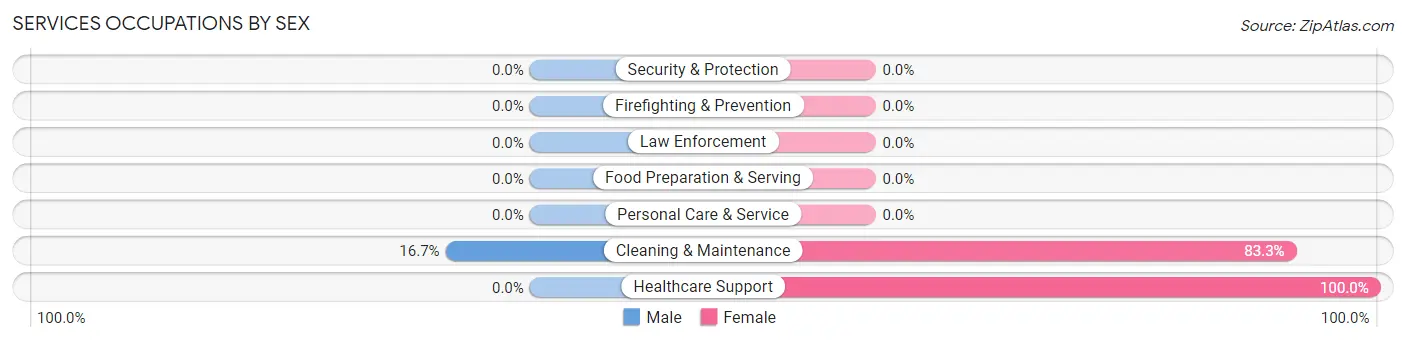Services Occupations by Sex in Register