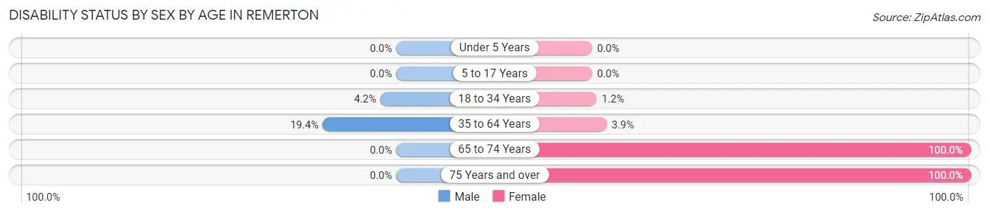 Disability Status by Sex by Age in Remerton