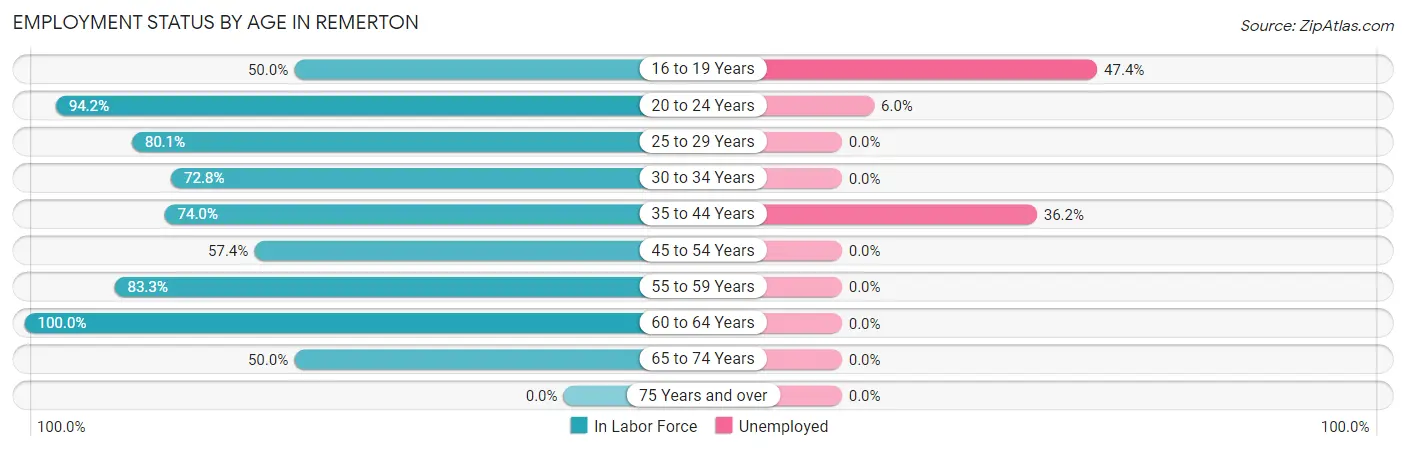 Employment Status by Age in Remerton