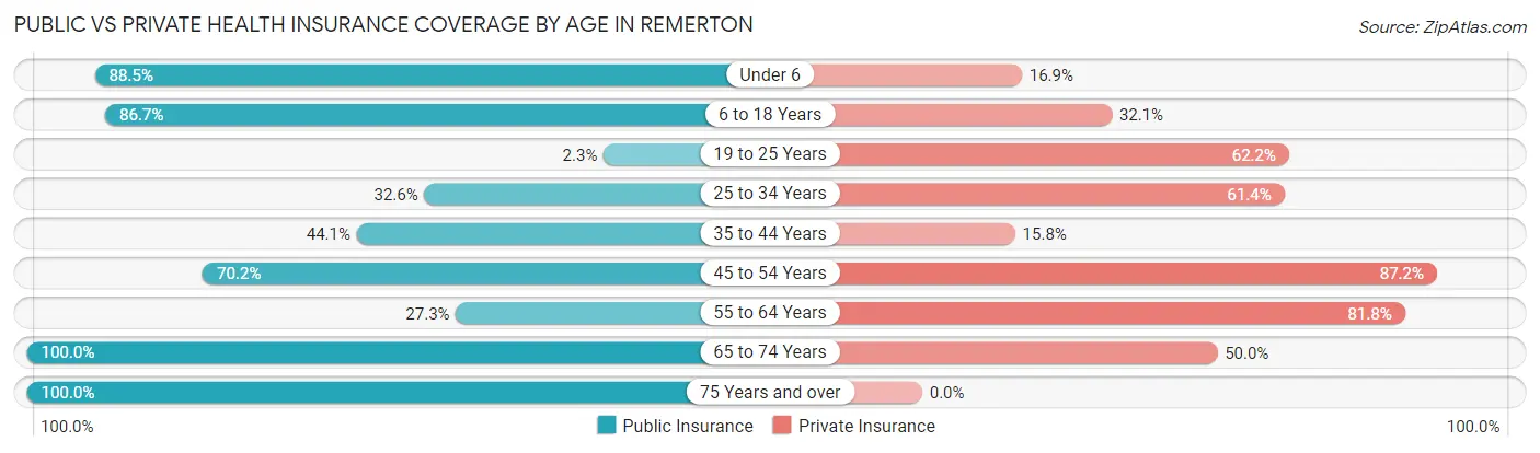 Public vs Private Health Insurance Coverage by Age in Remerton