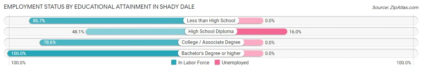 Employment Status by Educational Attainment in Shady Dale