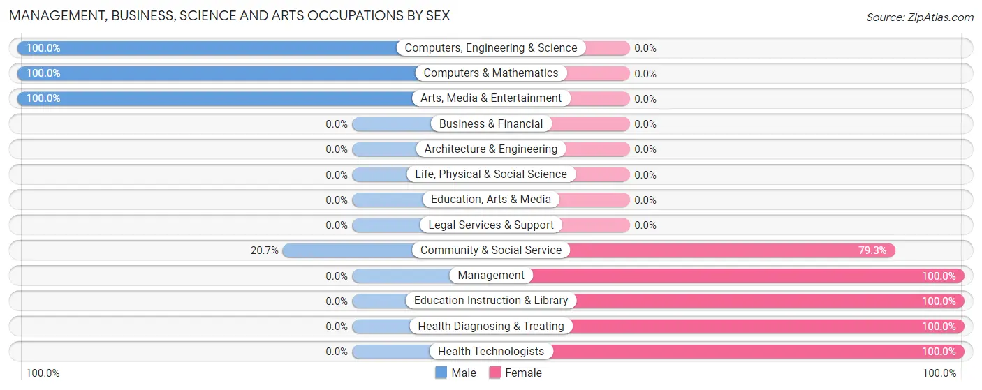 Management, Business, Science and Arts Occupations by Sex in Smarr