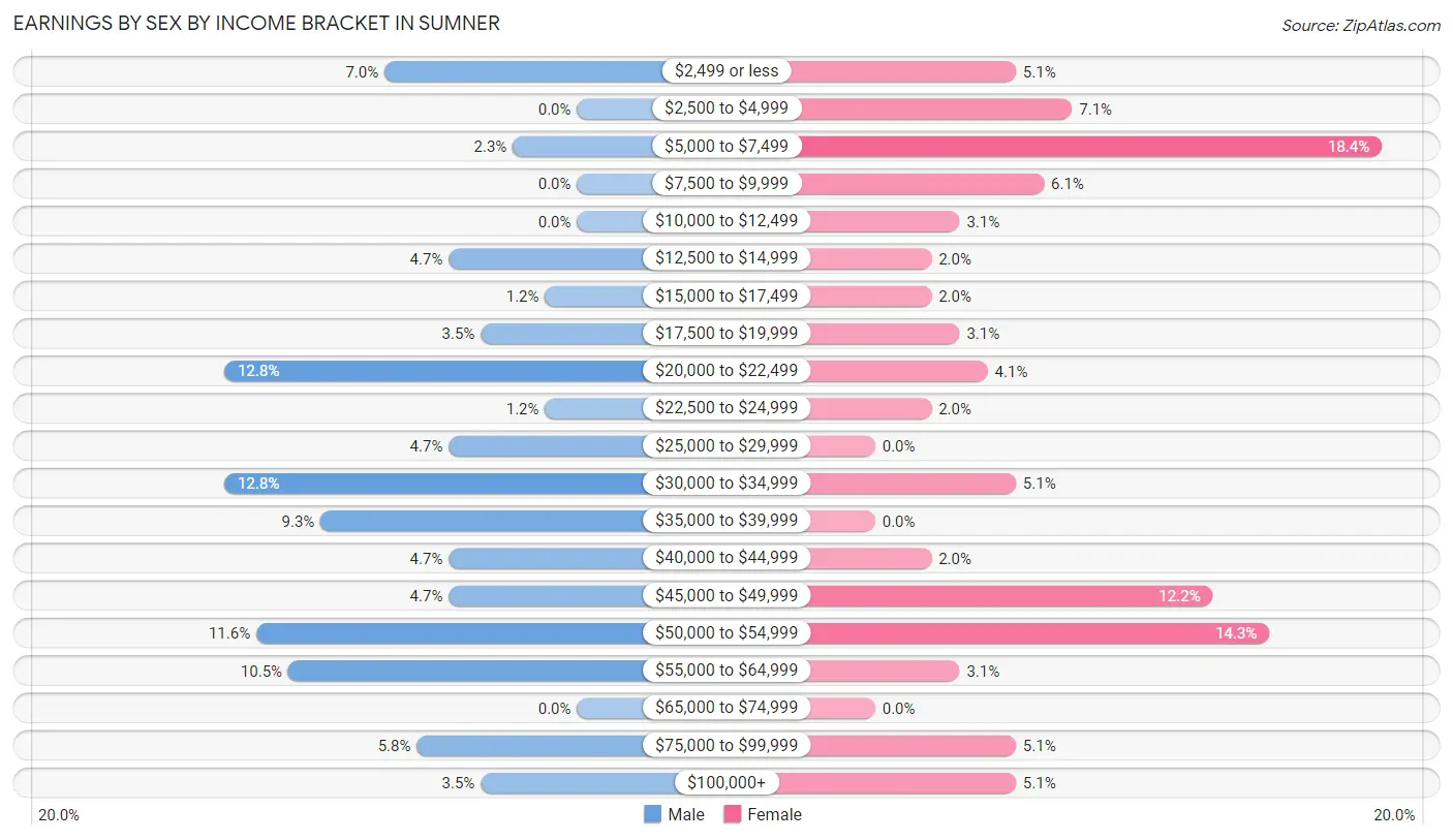 Earnings by Sex by Income Bracket in Sumner