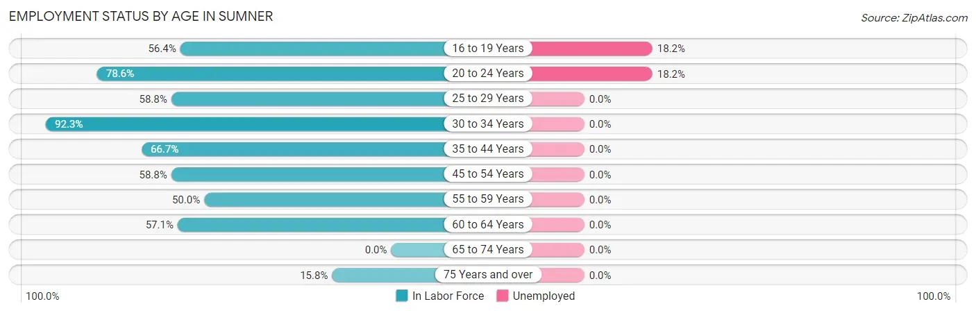 Employment Status by Age in Sumner