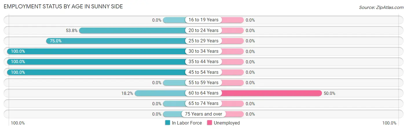 Employment Status by Age in Sunny Side