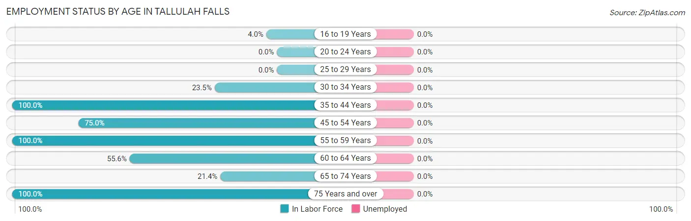 Employment Status by Age in Tallulah Falls