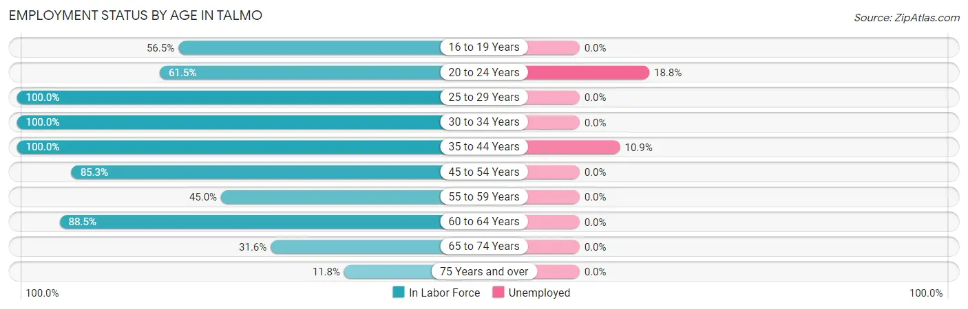 Employment Status by Age in Talmo