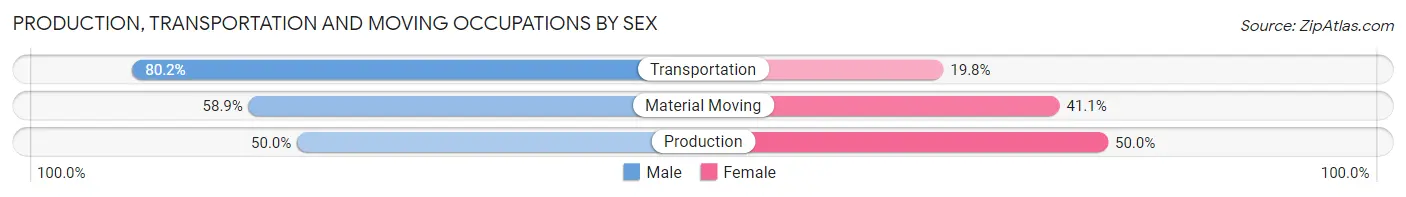 Production, Transportation and Moving Occupations by Sex in Thunderbolt