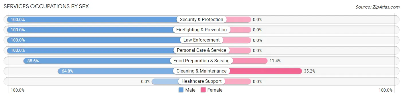 Services Occupations by Sex in Thunderbolt