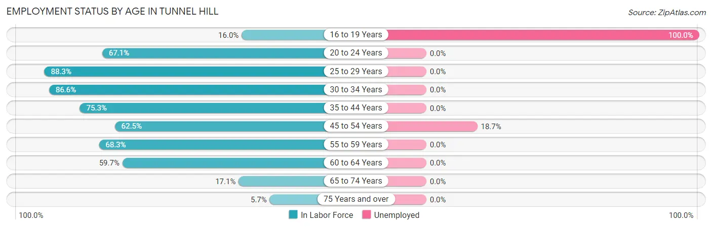 Employment Status by Age in Tunnel Hill