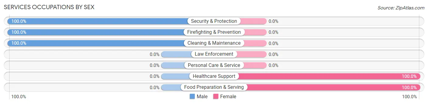Services Occupations by Sex in Unionville