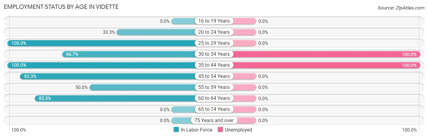 Employment Status by Age in Vidette