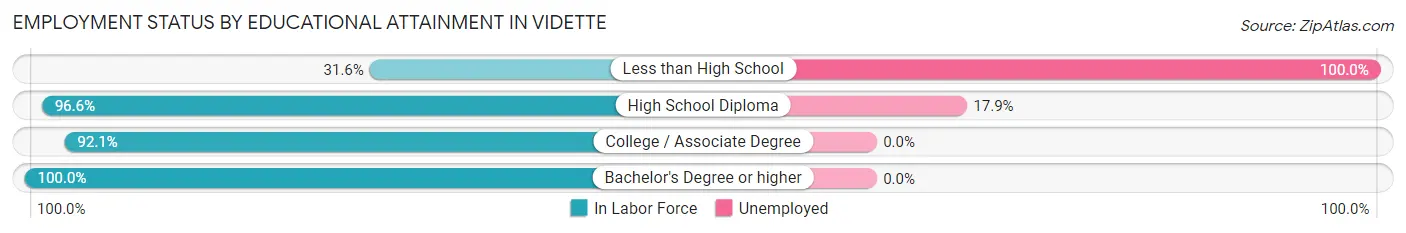 Employment Status by Educational Attainment in Vidette