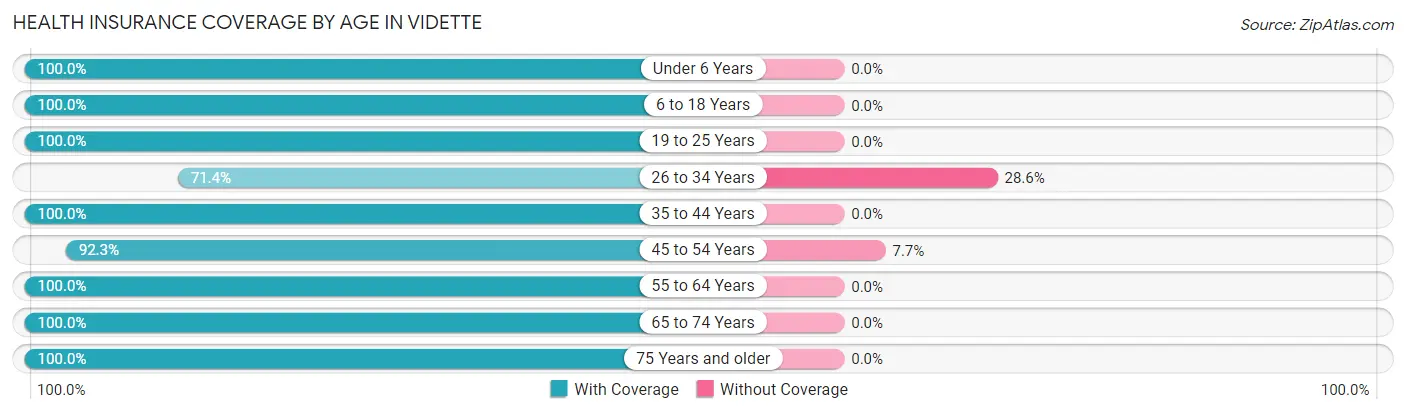 Health Insurance Coverage by Age in Vidette