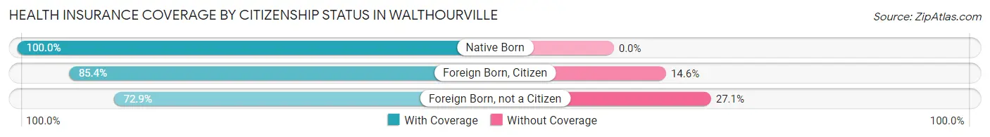 Health Insurance Coverage by Citizenship Status in Walthourville