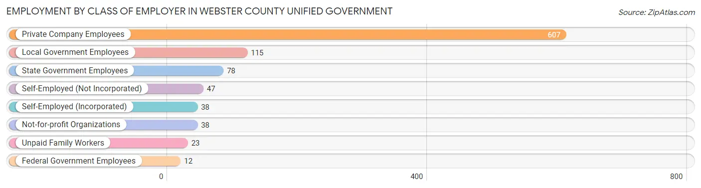Employment by Class of Employer in Webster County unified government