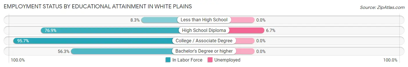 Employment Status by Educational Attainment in White Plains