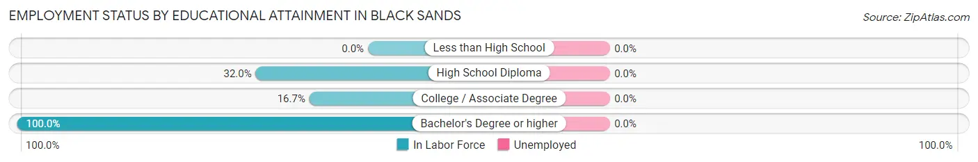 Employment Status by Educational Attainment in Black Sands