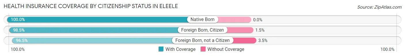 Health Insurance Coverage by Citizenship Status in Eleele