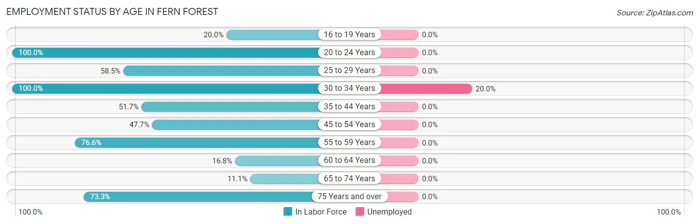 Employment Status by Age in Fern Forest