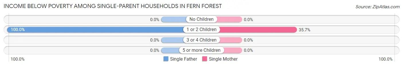 Income Below Poverty Among Single-Parent Households in Fern Forest
