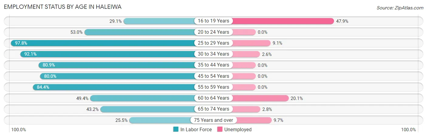 Employment Status by Age in Haleiwa
