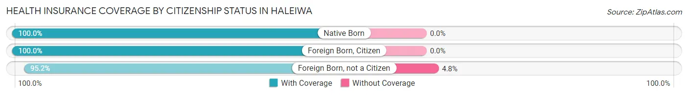 Health Insurance Coverage by Citizenship Status in Haleiwa