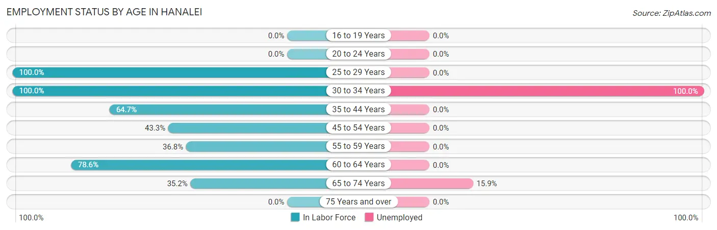 Employment Status by Age in Hanalei