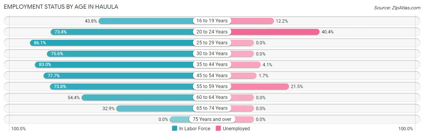 Employment Status by Age in Hauula