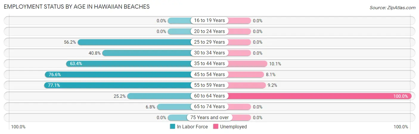 Employment Status by Age in Hawaiian Beaches