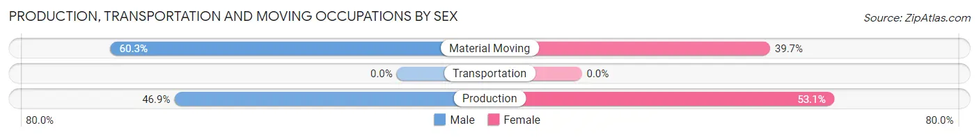 Production, Transportation and Moving Occupations by Sex in Hawaiian Beaches