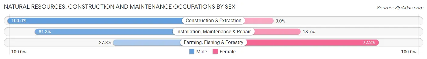 Natural Resources, Construction and Maintenance Occupations by Sex in Hawaiian Paradise Park