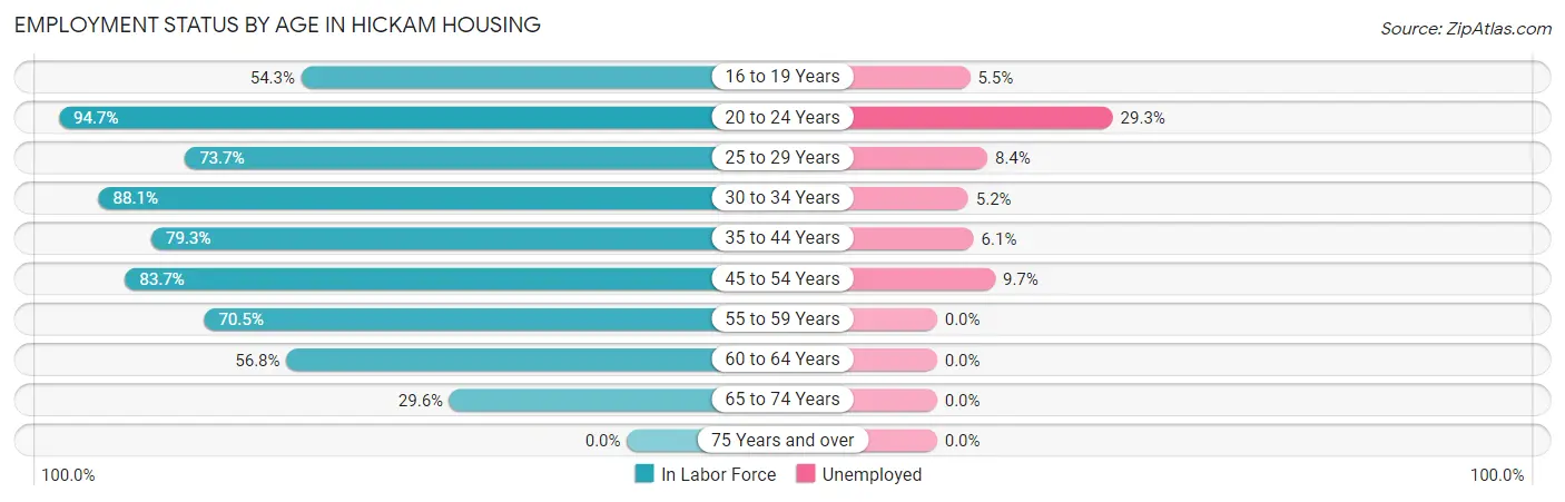 Employment Status by Age in Hickam Housing
