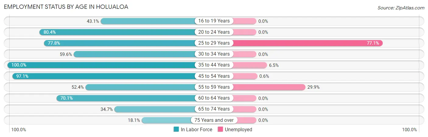 Employment Status by Age in Holualoa