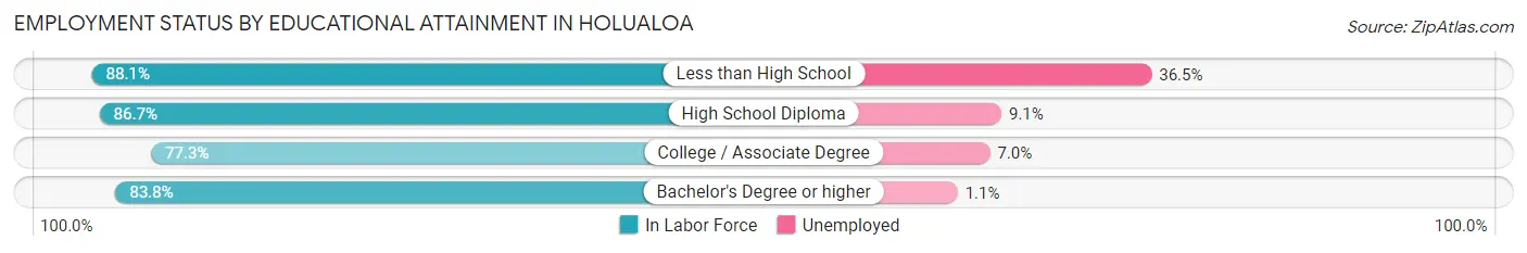 Employment Status by Educational Attainment in Holualoa
