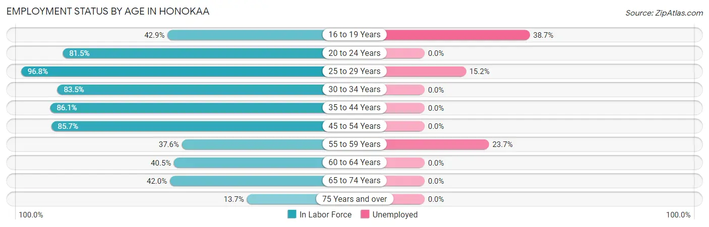 Employment Status by Age in Honokaa