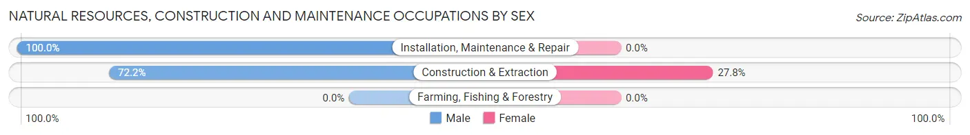 Natural Resources, Construction and Maintenance Occupations by Sex in Honomu