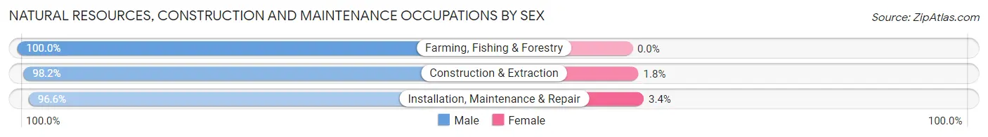 Natural Resources, Construction and Maintenance Occupations by Sex in Kahului