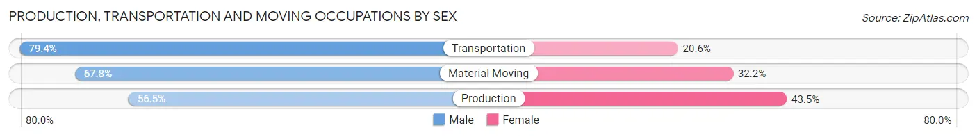 Production, Transportation and Moving Occupations by Sex in Kahului