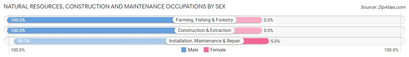 Natural Resources, Construction and Maintenance Occupations by Sex in Kaiminani