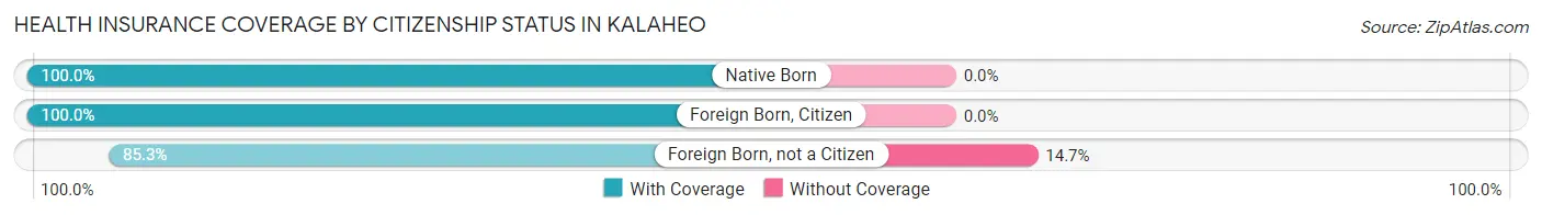 Health Insurance Coverage by Citizenship Status in Kalaheo