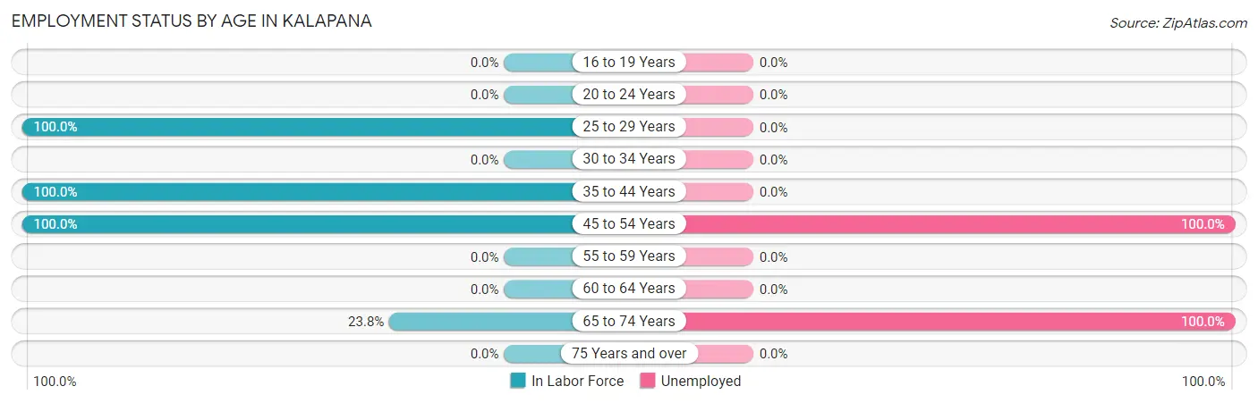 Employment Status by Age in Kalapana