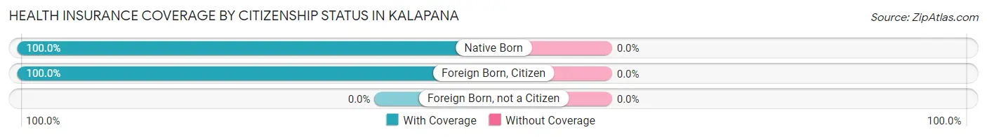 Health Insurance Coverage by Citizenship Status in Kalapana