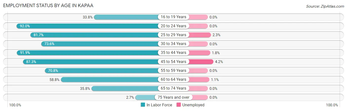 Employment Status by Age in Kapaa