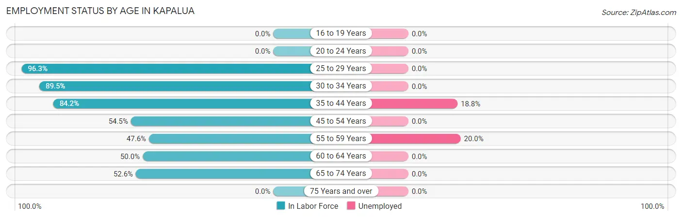 Employment Status by Age in Kapalua