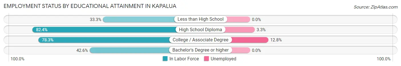 Employment Status by Educational Attainment in Kapalua