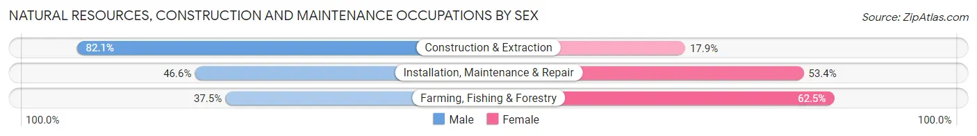 Natural Resources, Construction and Maintenance Occupations by Sex in Kaunakakai