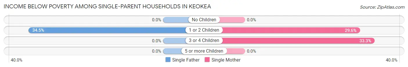 Income Below Poverty Among Single-Parent Households in Keokea